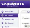 Carbonite Online Backup
